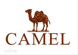 Camel駱駝 Camel駱駝