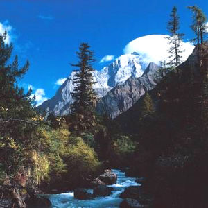 清涼峰國家級自然保護區