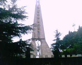 瀘州起義 瀘州起義