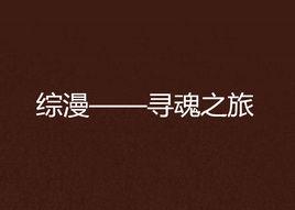 綜漫——尋魂之旅 綜漫——尋魂之旅