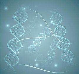 基因本體 基因本體