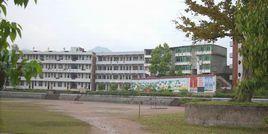 柏樹華英中學 柏樹華英中學