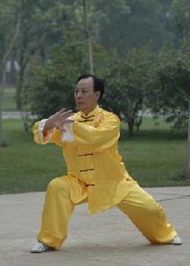 張志俊[陳式太極拳傳人]