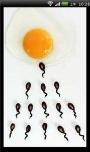 青春期教育 青春期教育