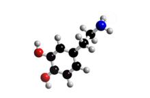 多巴胺結構模型