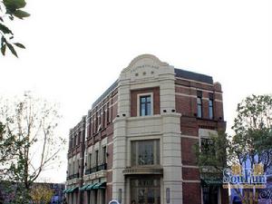 金地藝華年別墅