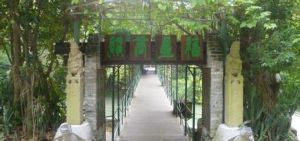 仙人掌大峽谷 仙人掌大峽谷