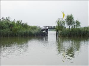 溱湖國家濕地公園實景拍攝