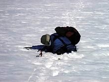 大陸冰蓋 大陸冰蓋