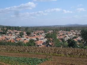 遲家莊村 遲家莊村