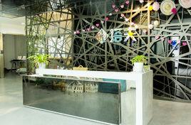 塔夫教育 塔夫教育