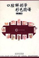 口腔解剖學彩色圖譜 口腔解剖學彩色圖譜