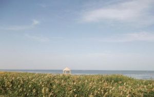 大河口景區 大河口景區