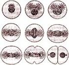 有絲分裂發生 有絲分裂發生