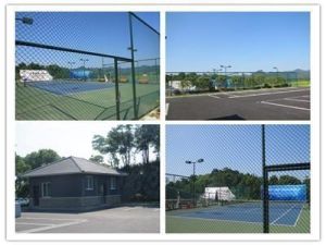 銀湖街道 銀湖街道