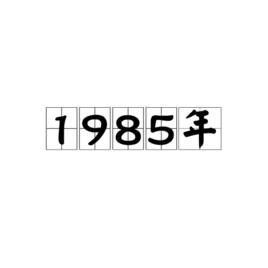 1985年[年份]