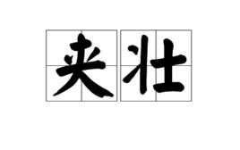 夾壯[漢語辭彙]