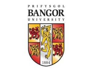 班戈大學mba 班戈大學mba