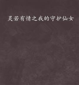 靈若有情之我的守護仙女 靈若有情之我的守護仙女