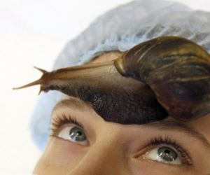 蝸牛按摩 蝸牛按摩