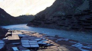 鹽井鹽田 鹽井鹽田