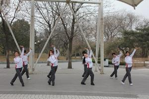 《美麗中國夢》歌舞表演小組