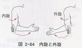 內旋 內旋