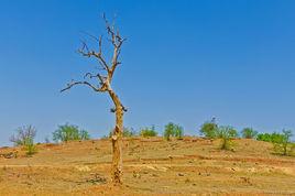 半乾旱地區 半乾旱地區