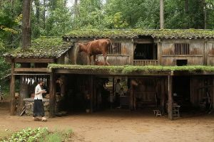 電影《武俠》劇照