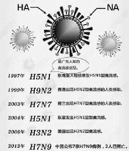 HxNx病毒家族 HxNx病毒家族