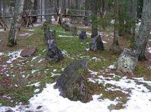 建造在陣地上的冬季戰爭博物館