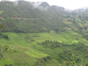 洛三勐自然村 洛三勐自然村