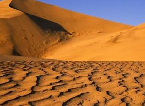 奇瓦瓦沙漠 奇瓦瓦沙漠