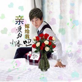 親愛的嫁給我吧[歌手小盤演唱的歌曲]