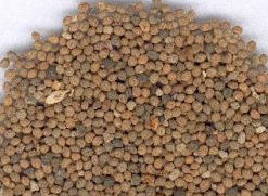 鎖精固元丸 鎖精固元丸