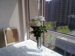 北京顥潤心理諮詢中心 北京顥潤心理諮詢中心