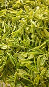 資溪白茶 資溪白茶