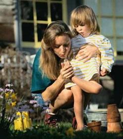 韋恩·丹尼斯 韋恩·丹尼斯