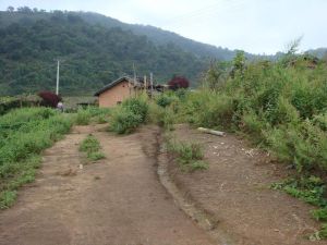 岔河新老寨村 岔河新老寨村