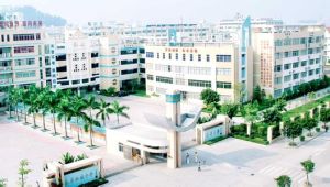 東華國小 東華國小