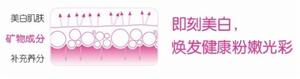 礦物美白成分，提升白皙