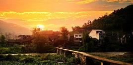 沙灣鎮[貴州省遵義市沙灣鎮]