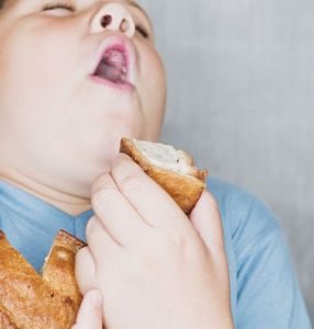三級食品食用過度會引起肥胖症