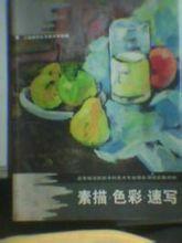 素描色彩速寫 素描色彩速寫