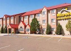 美國國際響尾蛇博物館 美國國際響尾蛇博物館