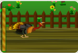 火雞末日 火雞末日