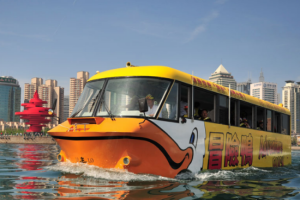 青島冒險鴨水陸兩棲觀光巴士 青島冒險鴨水陸兩棲觀光巴士