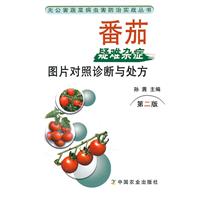 番茄疑難雜症圖片對照診斷與處方
