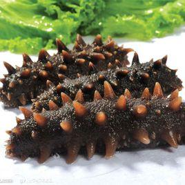 海參毒素 海參毒素