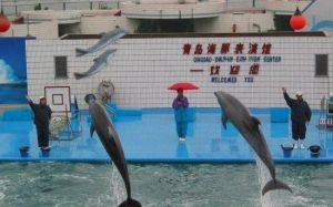 海豚表演館